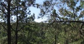 Welcome to the new A Stitch to Wear!